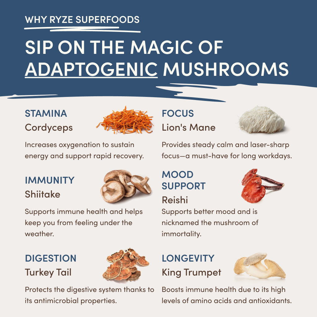 RYZE Nighttime Mushroom Cocoa Starter Bag - JA9N