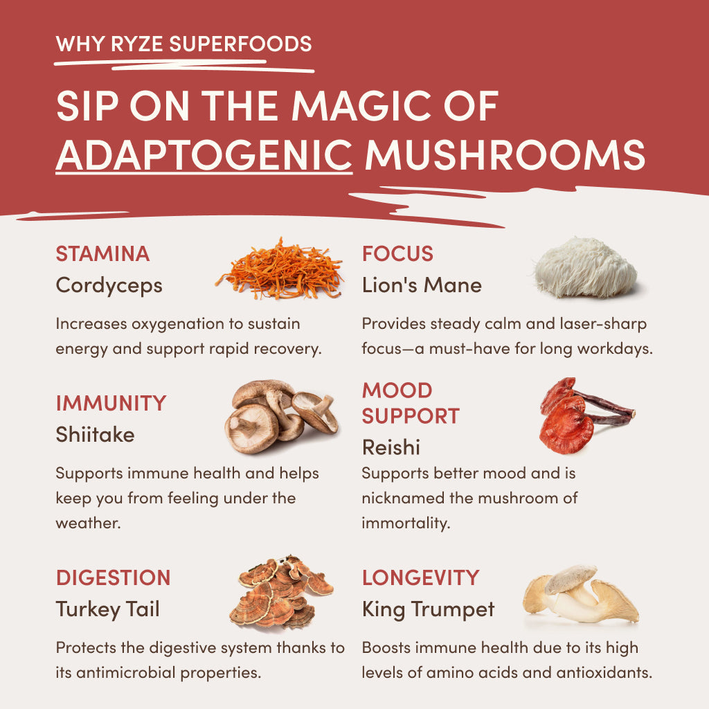 RYZE Mushroom Chai Starter Bag - 87H0