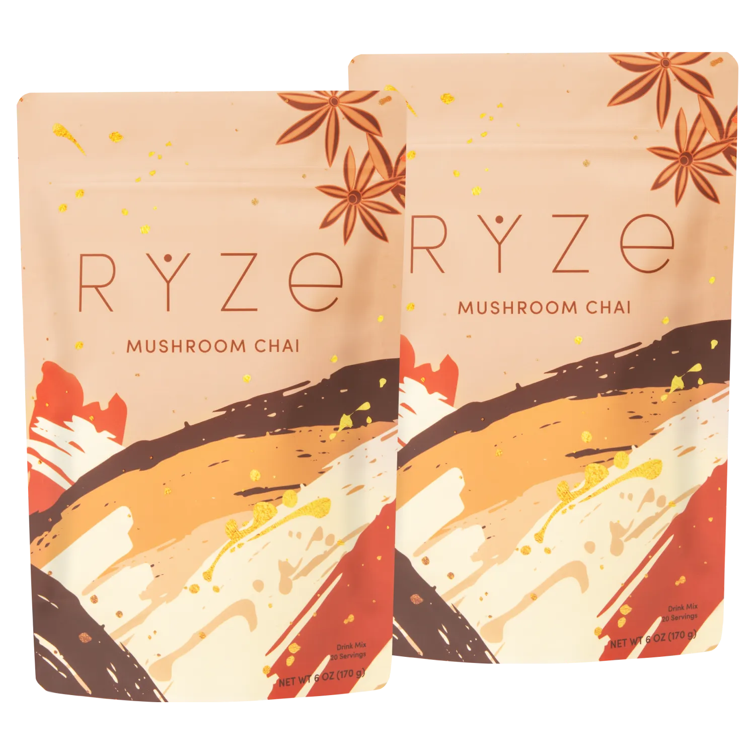 Mushroom Chai Starter Kit: 40 Servings - TQOE