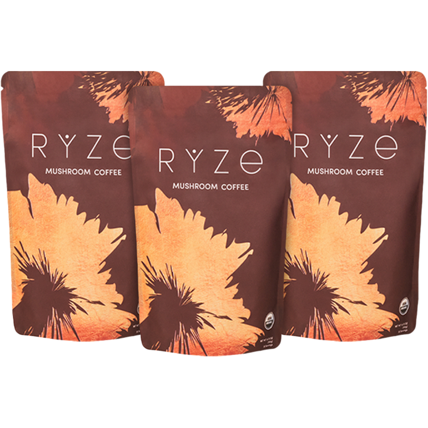Mushroom Coffee (3 Month Upgrade) - ZAHL
