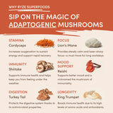 Mushroom Coffee (1 pack - 30 Servings) - CA7Z