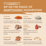 Mushroom Overnight Oats 14 Servings - 6Z1Y