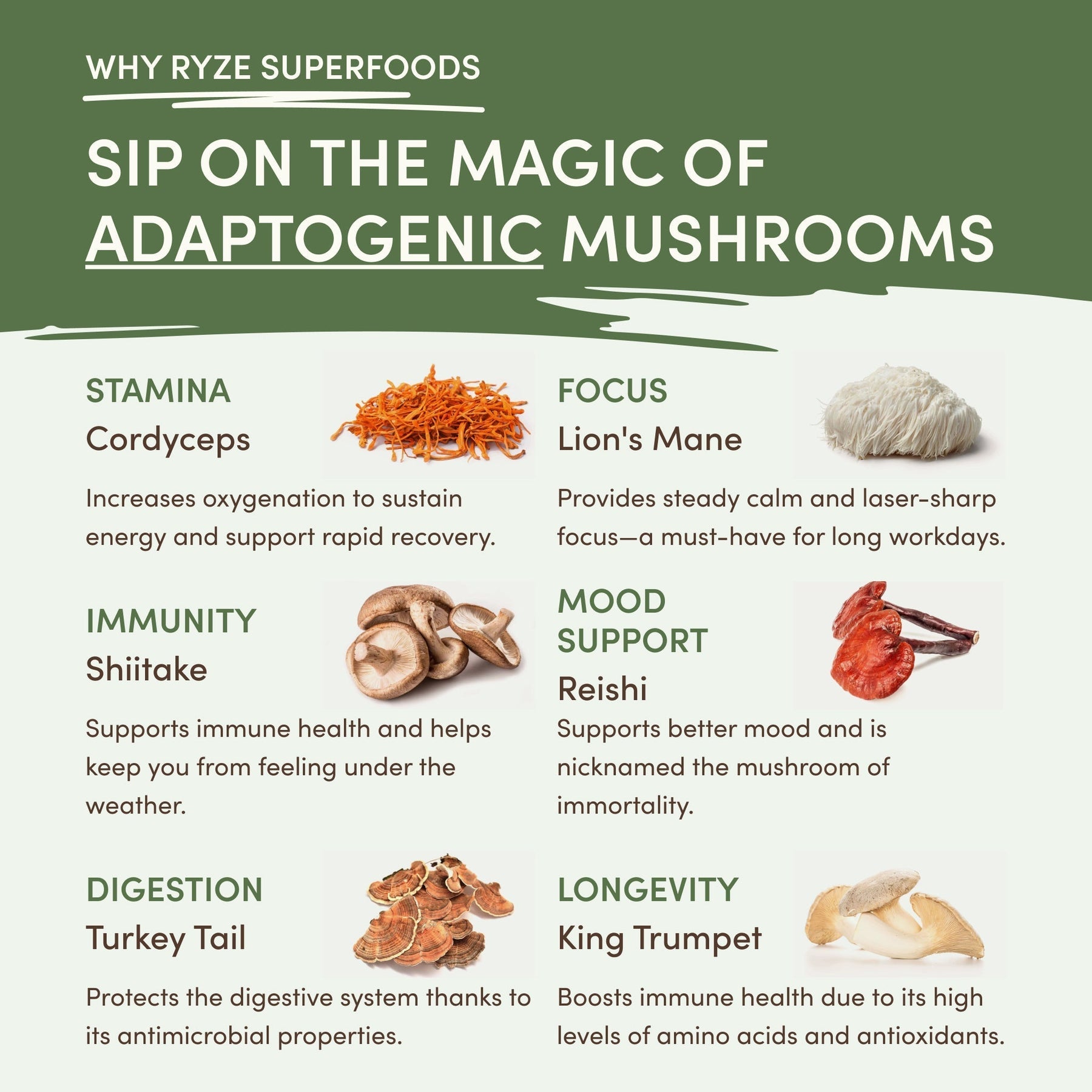 Mushroom Matcha (1 Pack - 30 Servings) - QLJF