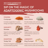 Mushroom Chai (20 Servings)