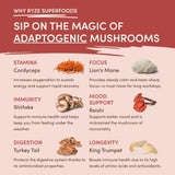 Mushroom Chai (1 Pack - 20 Servings) - TMQI