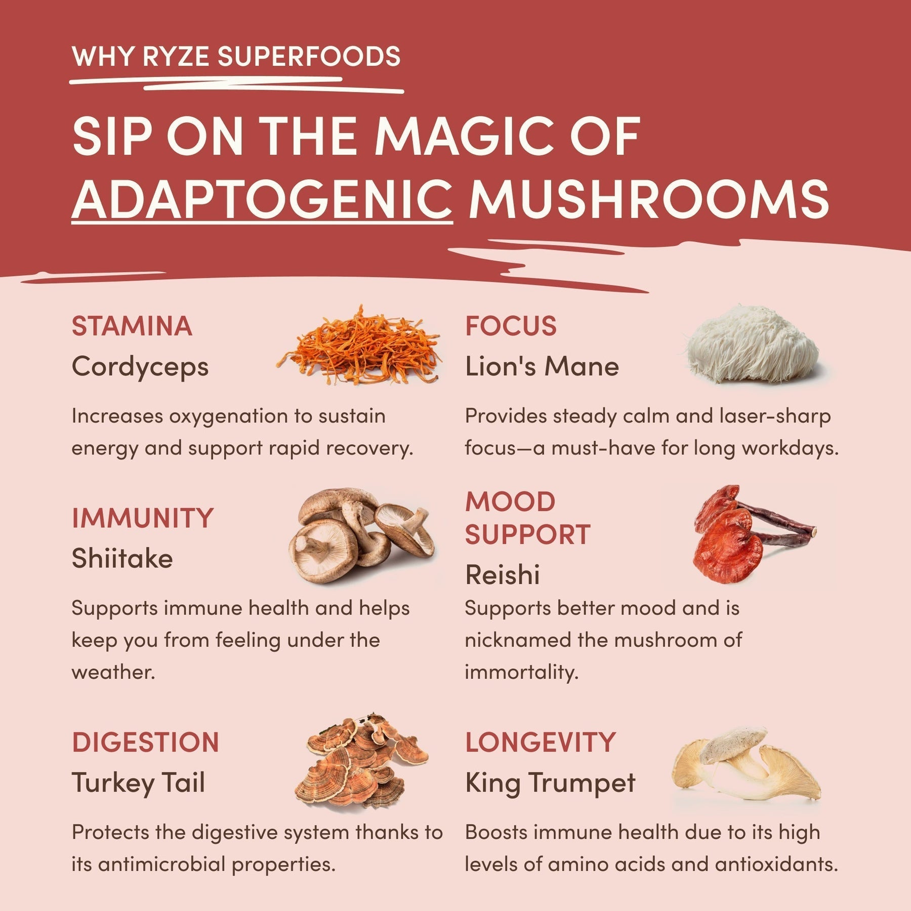 Mushroom Chai (1 Pack - 20 Servings) - 95KF