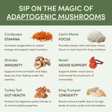 Mushroom Matcha Starter Kit (60 Servings) - HWV3