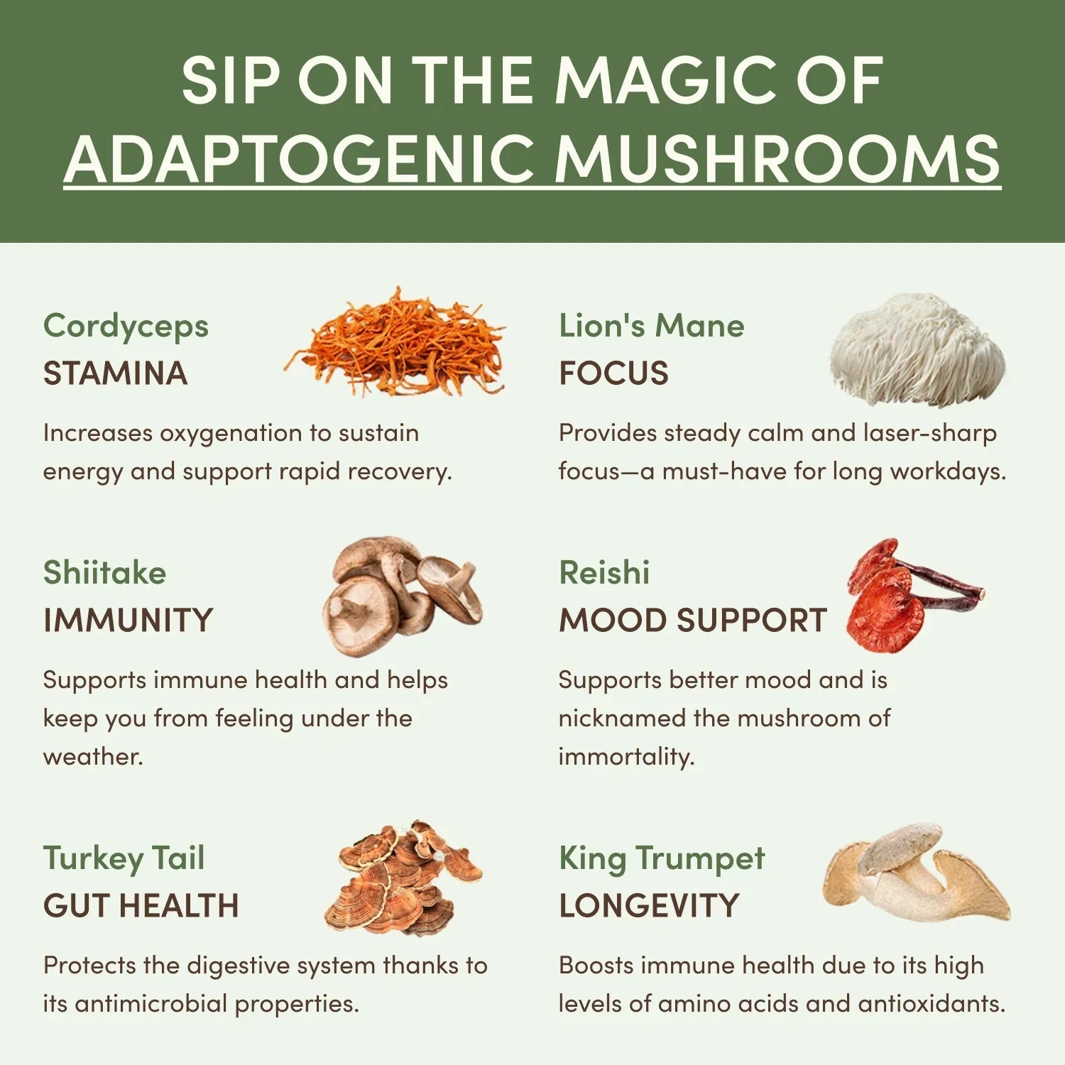 Mushroom Matcha Starter Kit (60 Servings) - HWV3