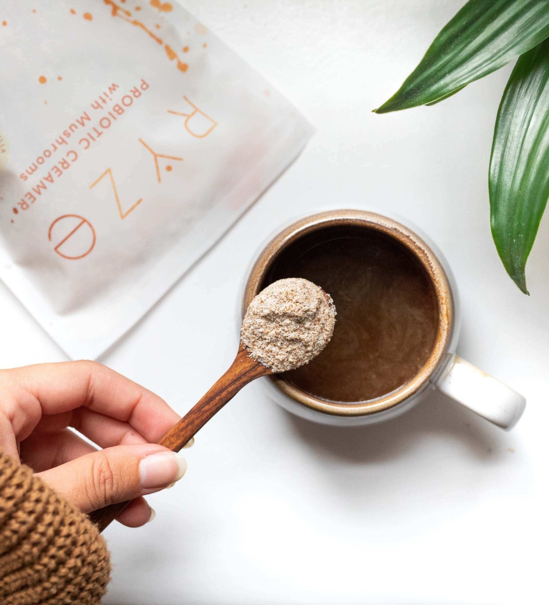 Probiotic Creamer (30 Servings) - MSDT