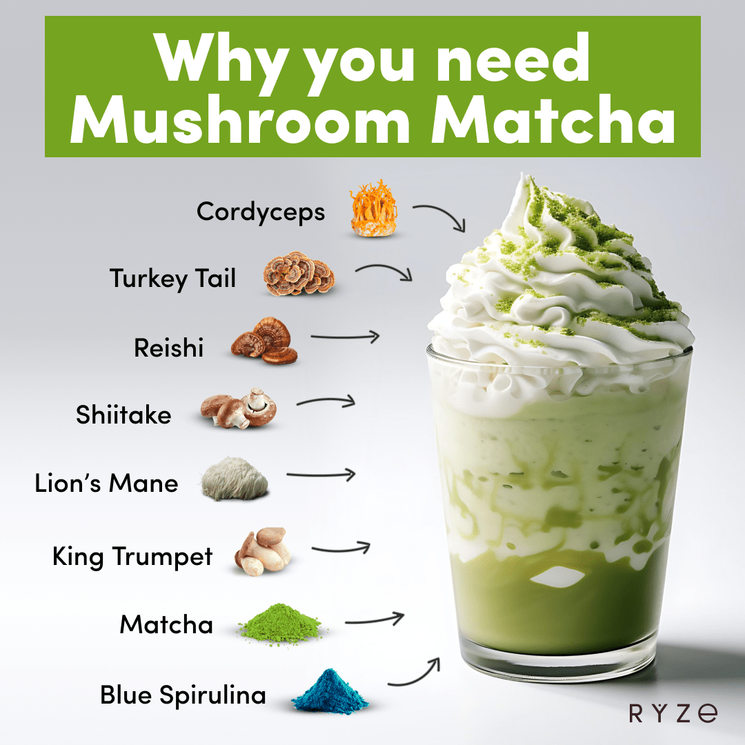 RYZE Mushroom Matcha - with 6 Organic Adaptogenic Mushrooms Grown In USA and Ceremonial-Grade Japanese Matcha - 1OC0