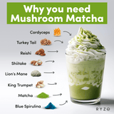 RYZE Organic Mushroom Matcha Starter Kit (60 servings) - SYM9